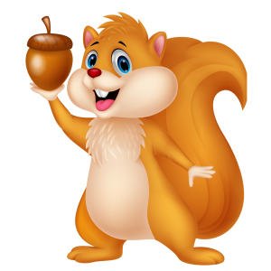 a cute squirrel with an acorn